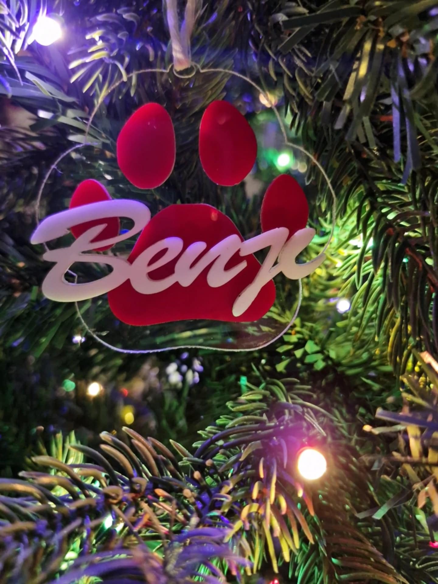 Animal Paw Print Ornament